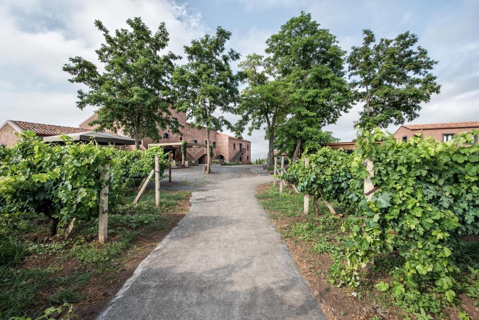 Firriato Hospitality Cavanera Etnea Resort&Wine Experience Castiglione De Sicilia Exterior foto